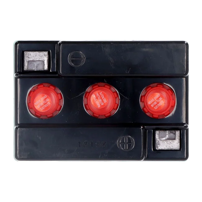Yuasa Conventional battery