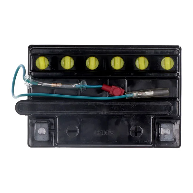 Yuasa Conventional battery