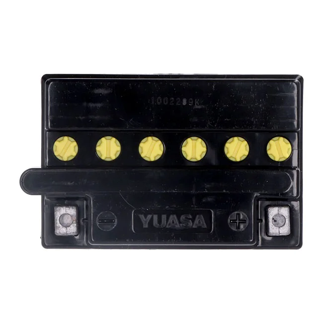 Yuasa Yumicron battery YB10L-A2