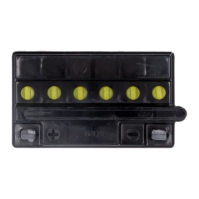 Yuasa Yumicron battery YB12A-B