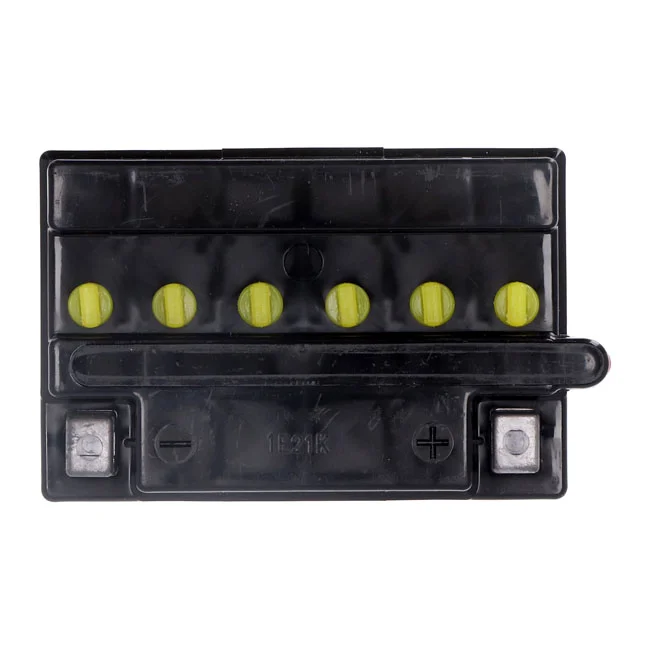 Yuasa Yumicron battery YB14L-B2