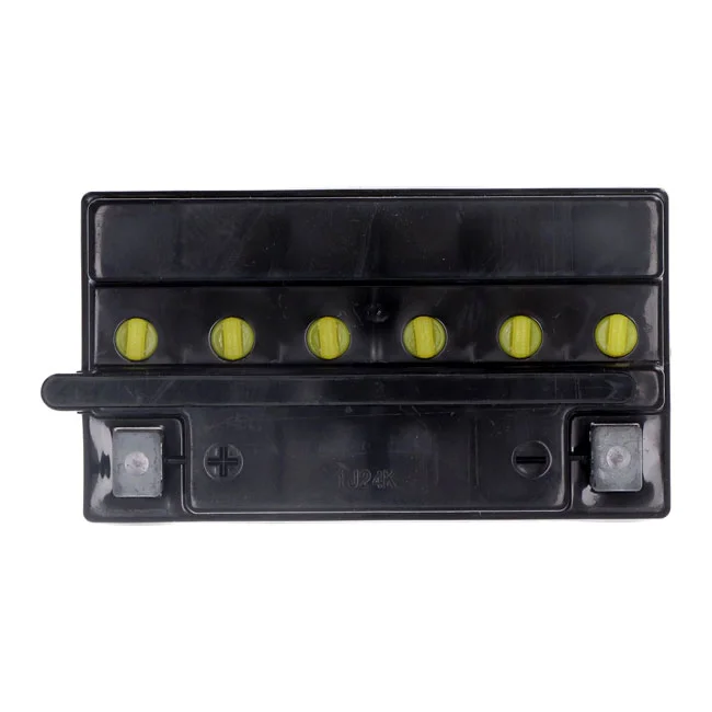 Yuasa Yumicron battery YB16B-A