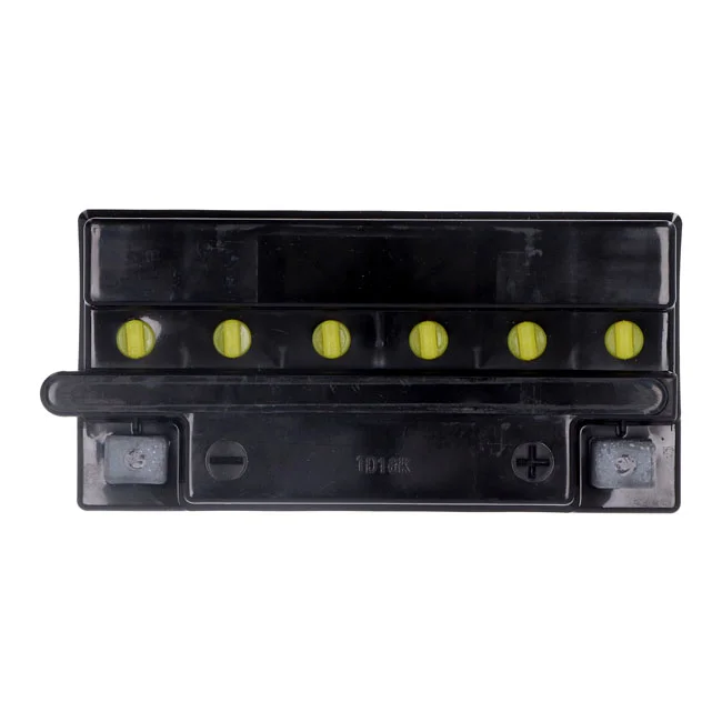 Yuasa Yumicron battery