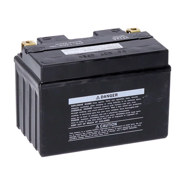 Yuasa High performance AGM battery, YT12A-WC