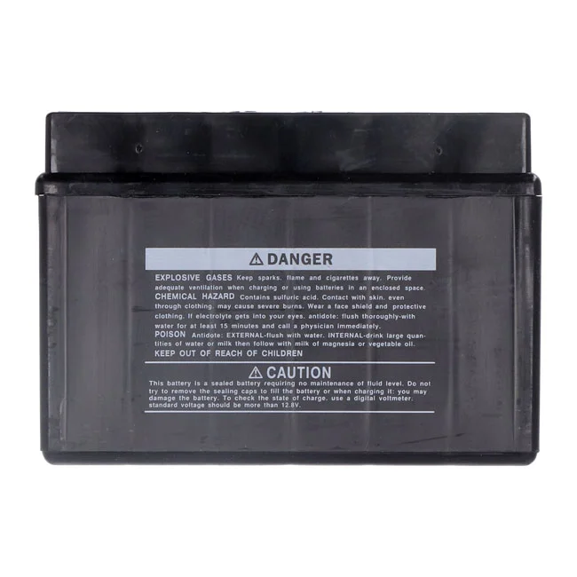Yuasa High performance AGM battery, YT12A-WC