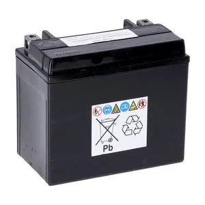 Yuasa Yuasa, High performance AGM battery, YTX12-WC