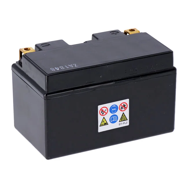 Yuasa High performance AGM battery, YTZ10S
