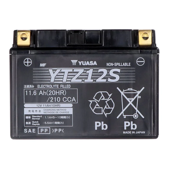 Yuasa High performance AGM battery, YTZ12S