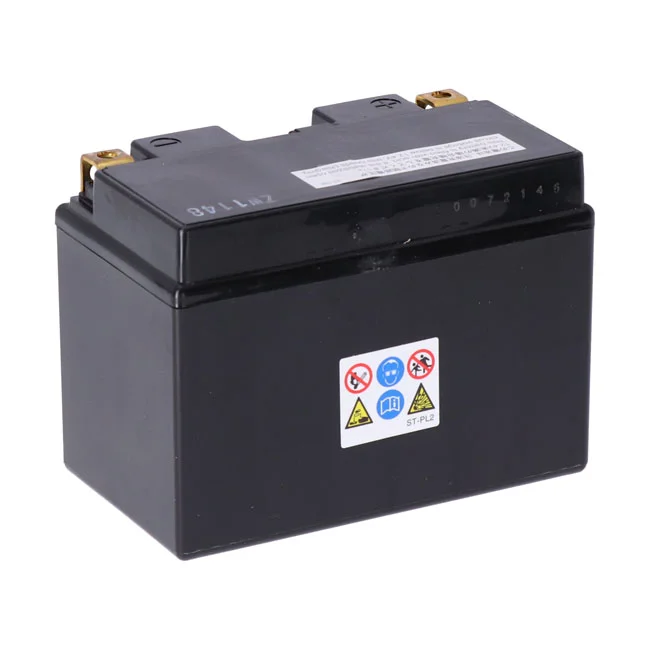 Yuasa High performance AGM battery, YTZ14S