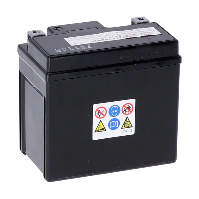 Yuasa High performance AGM battery, YTZ7S