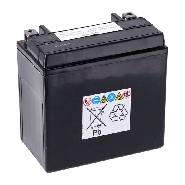 Yuasa AGM battery, YTX14-WC