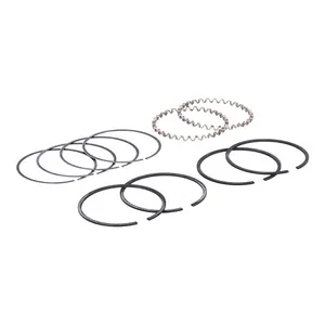 Hastings Hastings, 2-3/4" bore piston ring set. +.020"