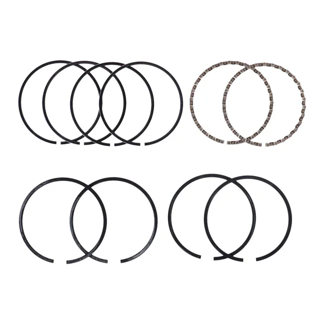 Hastings 2-3/4" bore piston ring set. +.050"