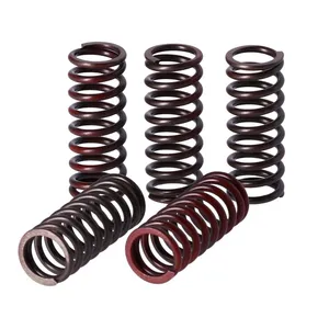 TRW TRW clutch spring kit