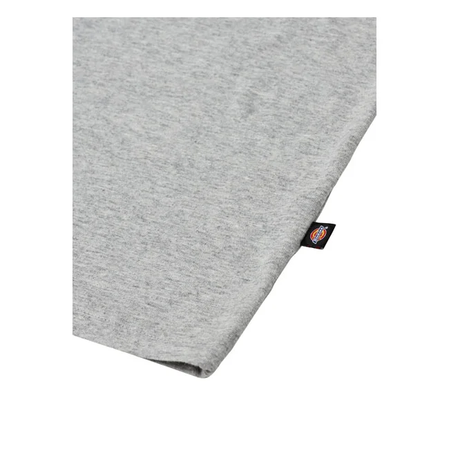 Dickies Mapleton t-shirt gray melange