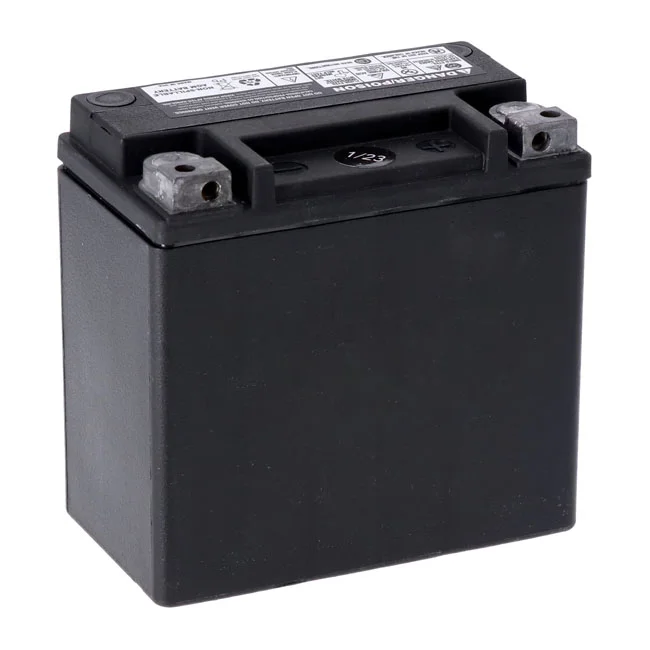 MCS Advance Series - AGM sealed battery. 12v, 12Ah, 220cca - 65958-04C
