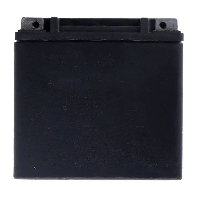 MCS Advance Series - AGM sealed battery. 12v, 12Ah, 220cca - 65958-04C