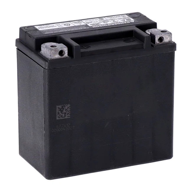 MCS Advance Series - AGM sealed battery. 12v, 12ah, 220cca - 65948-00B