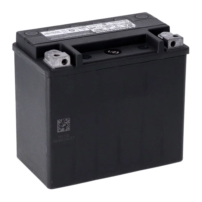 MCS Advance Series - AGM sealed battery. 12v, 19ah. 325cca - 65991-82B