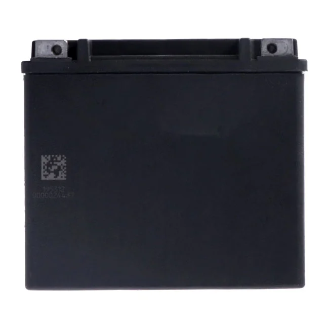 MCS Advance Series - AGM sealed battery. 12v, 19ah. 325cca - 65991-82B
