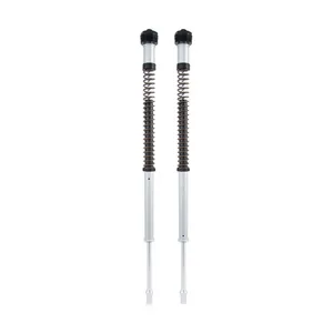 Öhlins Öhlins, NIX22 front fork cartridge kit