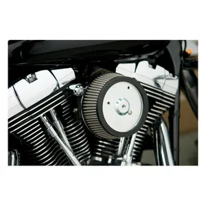 Arlen Ness Arlen Ness, Stage 1 Big Sucker air cleaner kit. Custom cover