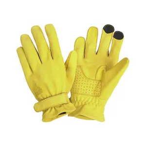 By City By City Texas gloves yellow