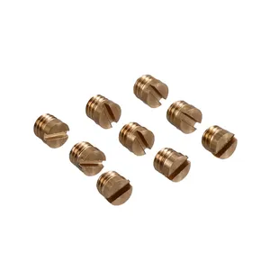 Samwel Plug screw, idle passage