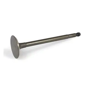 Samwel Flathead Intake valve, stainless