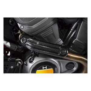 Zard Zard, Pan America carbon heat shield