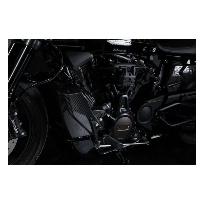 Zard Carbon radiator cover and side panel kit
