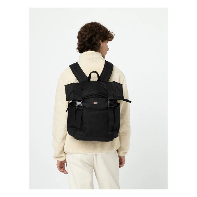 Dickies Ashville backpack black