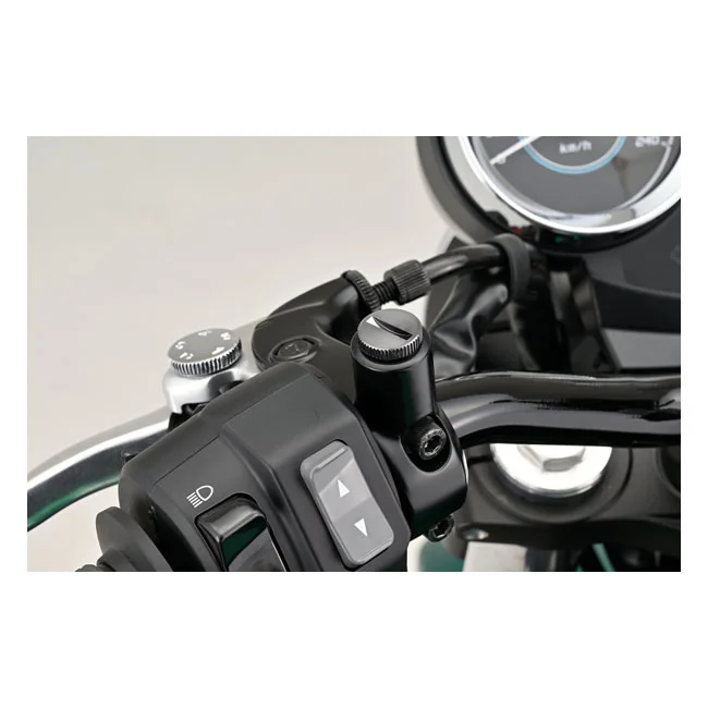 Daytona Mirror hole plug. Gun-metal. RHT