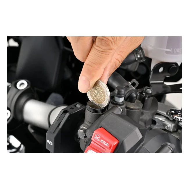 Daytona Mirror hole plug. Black. LHT