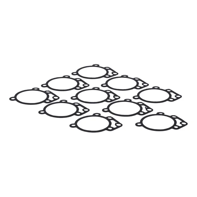 S&S GASKET BACKPLT TDRP 10P