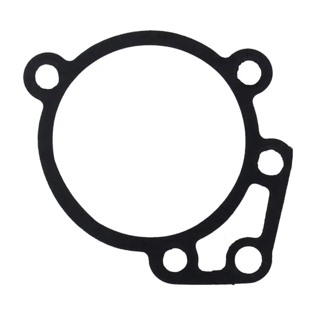 S&S GASKET BACKPLT TDRP 10P
