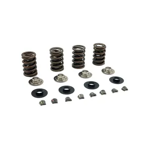 Jims JIMS, valve spring kit. Titanium .600" lift