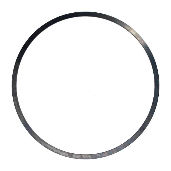 MCS Clutch, spring plate - 37884-98