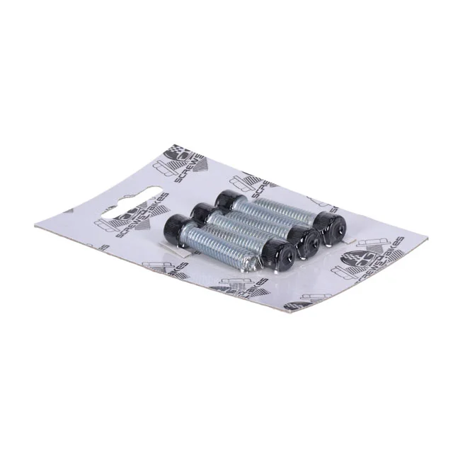 Screws4Bikes Bolt kit, front fork brackets