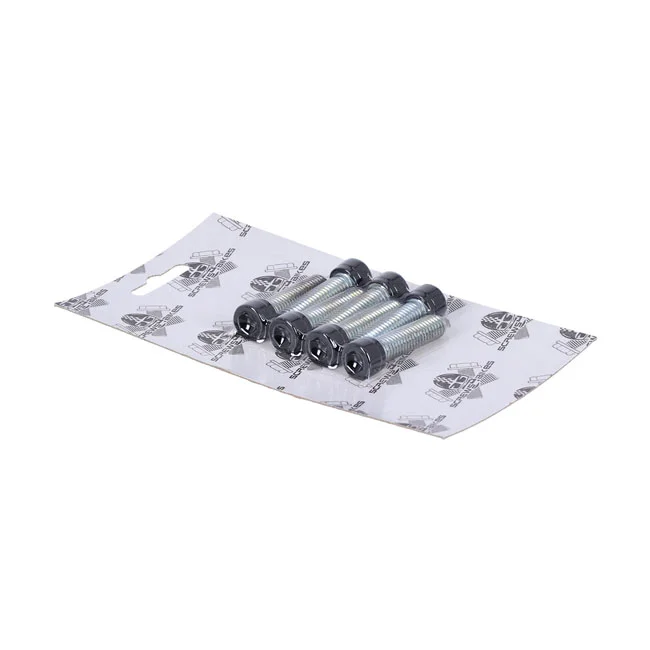 Screws4Bikes Bolt kit, 6x front fork brackets SH