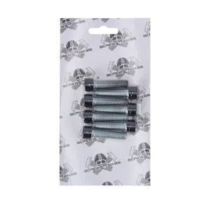 Screws4Bikes Screws4Bikes, bolt kit, 6x front fork brackets SH