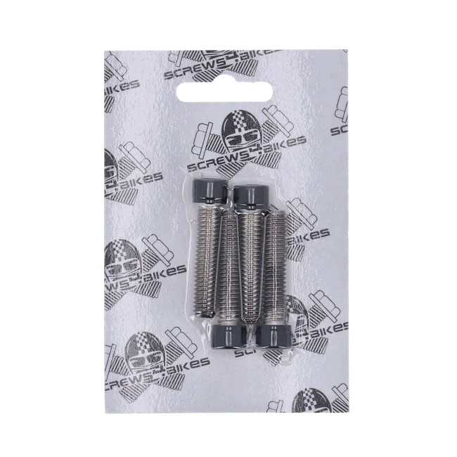 Screws4Bikes Bolt kit, front fender