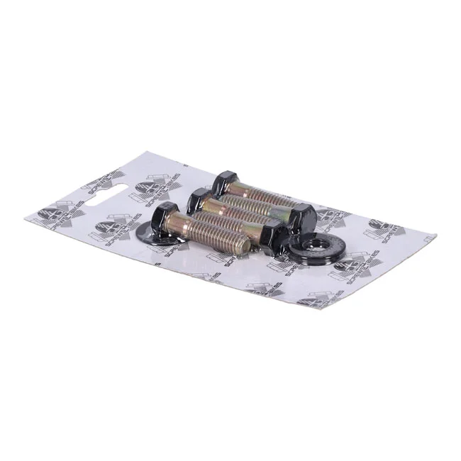 Screws4Bikes Bolt kit, pulley
