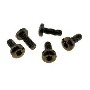 Screws4Bikes Screws4bikes, bolt kit, brake rotor discs rear (TITAN)