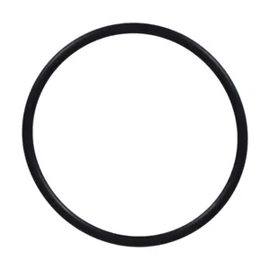 Athena Athena, carburetor to manifold spacer block o-ring