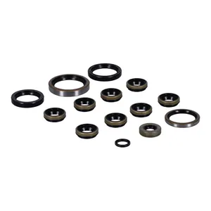 Athena Athena, engine oil seals kit