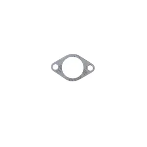 Athena Athena, intake manifold gasket