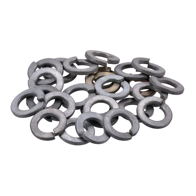 Gardner-Westcott Zinc lock washers M10 - 25 pack