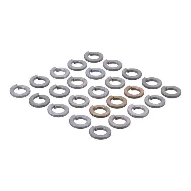 Gardner-Westcott Zinc lock washers M12 - 25 pack