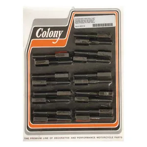 Colony Colony head bolt kit